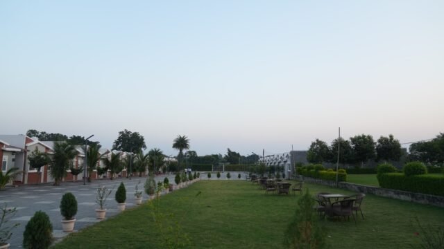 Sethji-NI-Wadi.webp3-1-1