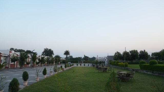 Sethji-NI-Wadi.webp3_-1